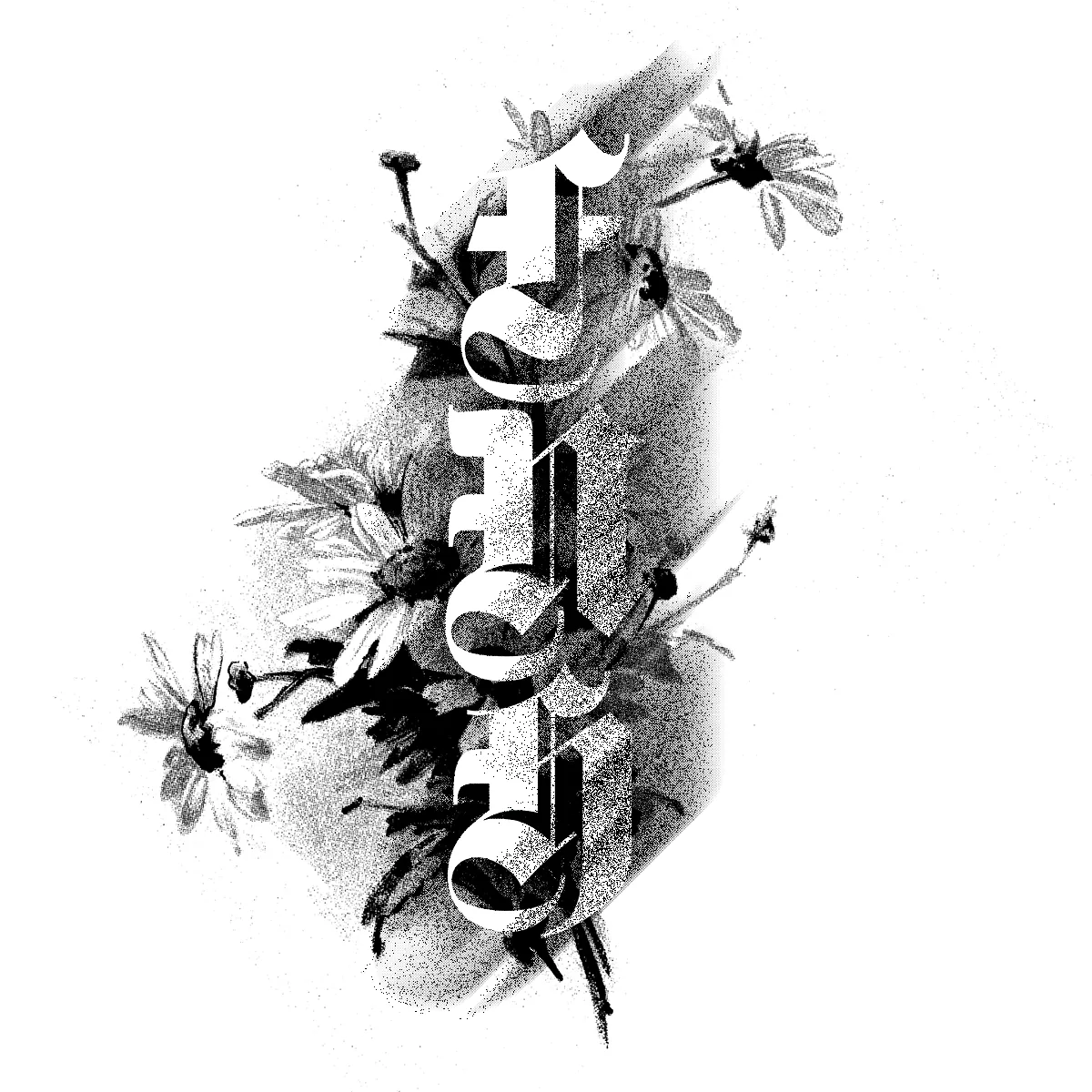 Untitled process image